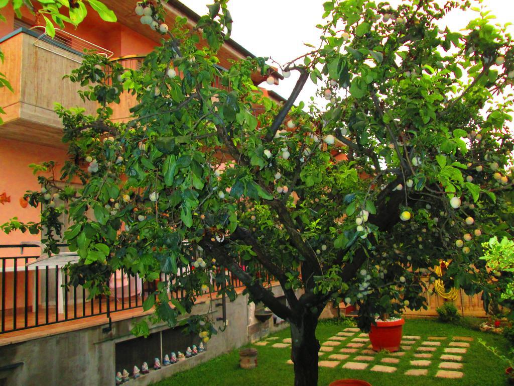 B&B Le Begonie Ascoli Piceno Bagian luar foto
