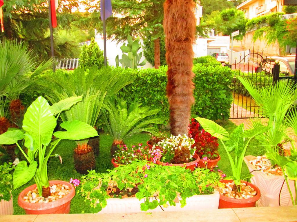 B&B Le Begonie Ascoli Piceno Ruang foto